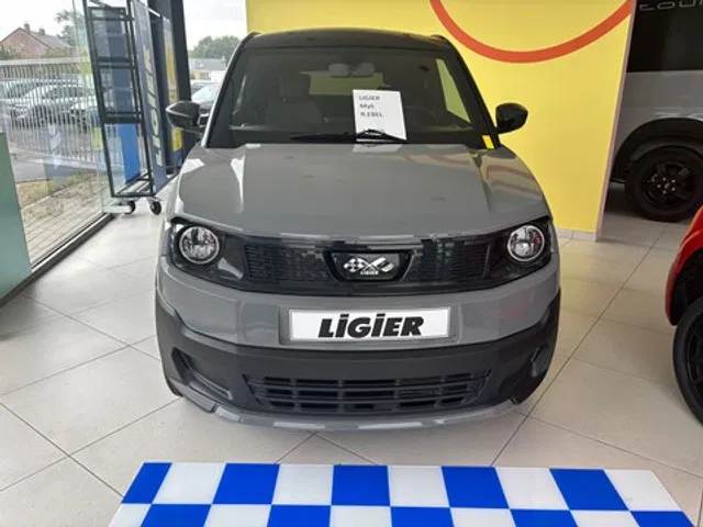 Ligier Myli – Image 16